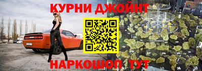 гидра Кингисепп