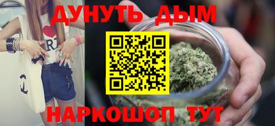 гидра Кингисепп