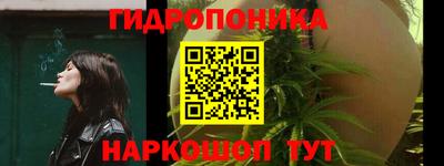 тгк Кимры