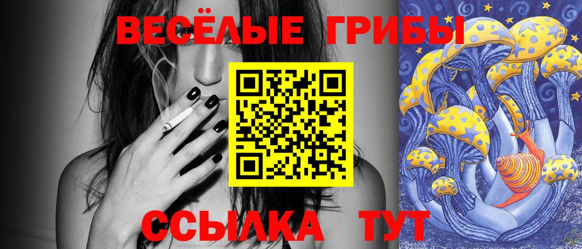 Галлюциногенные грибы прущие грибы Чита