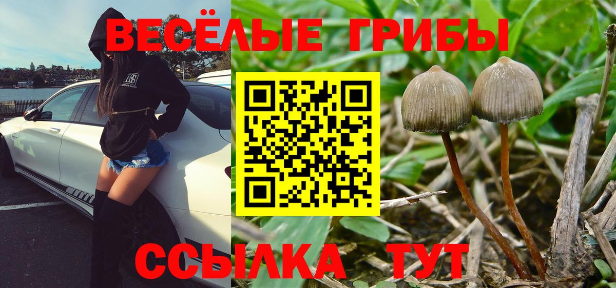 хочу   Вход с VPN  Чита  Галлюциногенные грибы мицелий  Галлюциногенные грибы Magic Shrooms 